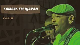 Capim Djavan [upl. by Siskind239]