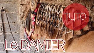 LE DAMIER  coiffure pour son cheval  TUTO [upl. by Nhtanhoj]