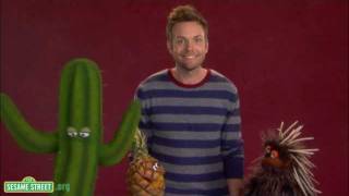 Sesame Street Joel McHale demonstrates the word quotPricklyquot [upl. by Henri]