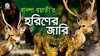 Horiner Jari  হরিণের জারি  Badshah Boyati  Baul Gaan  Jari Gaan  Sangeeta [upl. by Eelahc]