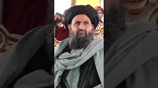 MullahAbdulGhaniBaradarAkhund shorts taliban status afghanistan afghan viralstatus 2024 [upl. by Elena73]