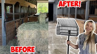 Deep Cleaning My Horse Barn Letting ALL MY HORSES Out Together [upl. by Oilicec578]