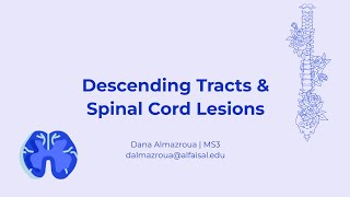 Descending Tracts amp Spinal Cord Lesions  Dana Almazroua  NEU 241 PAL review session [upl. by Ainnos]