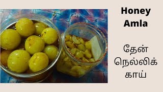 தேன் நெல்லி செய்வது எப்படிHomemade Honey Amla Recipe in tamil Honey Nellikai Recipe [upl. by Dedric]