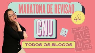 Principais temas para Revisão de Reta Final CNU [upl. by Link]