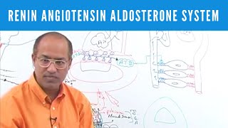 Renin Angiotensin Aldosterone System  RAAS👨‍⚕️ [upl. by Tamra621]