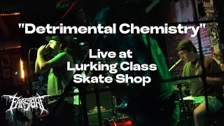 quotDetrimental Chemistryquot Live at Lurking Class Skate Shop  Salisbury MD [upl. by Aufa887]