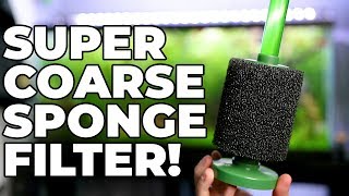 Aquarium CoOp Coarse Sponge Filter Review [upl. by Noda220]