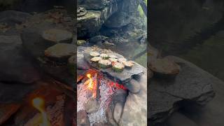 Doğal Taş Üstünde Kabak Halka kebabı  Cooking zucchini ring kebab on natural stone 🥩 [upl. by Hewes]