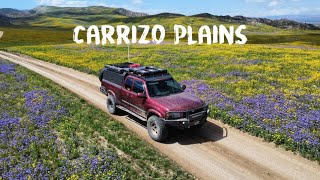 Carrizo Plains National Monument 2023 EP2  Super Bloom  Truck Camping [upl. by Pennebaker515]