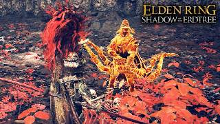 The Best Voice Acting in Elden Ring Shadow of the Erdtree Igon vs Bayle the Dread [upl. by Eutnoj]