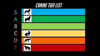 The Dog Tier List [upl. by Barcellona533]