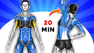 ➜ Target Armpit amp Back Fat ➜ 20Minute FatBurning Workout [upl. by Ellennahc]