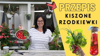 KISZONE RZODKIEWKI HIT DO GRILLA Przepis na PRZETWORY prosto z ogródka [upl. by Lanfri]