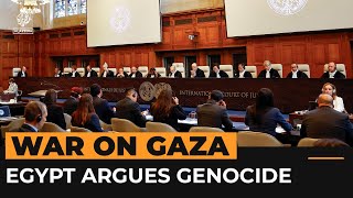 Egypt deals ‘diplomatic blow’ to Israel by joining ICJ genocide case  Al Jazeera Newsfeed [upl. by Stetson]