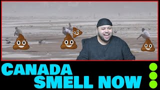 Muslim Reacts Indian poop around Canada [upl. by Novets]