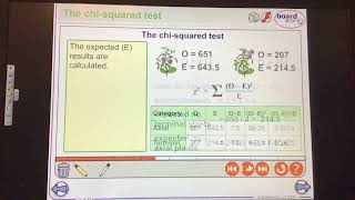 KS5ALEVELBIOLOGYStatisticsThe chi squared test in Genetics [upl. by Aneloc698]