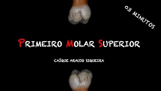 Primeiro Molar Superior  Teoria em 03 Minutos  Anatomia Dental [upl. by Alysoun]