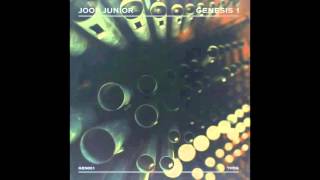 Joop Junior  Quick With Your [upl. by Ahsilad]