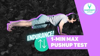 1 MINUTE MAX PUSH UPS TEST  At Home Muscular Endurance Test [upl. by Lisha380]