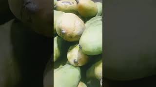 Kematengan reelsvideo viralvideo fruit [upl. by Asli]