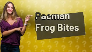 Can a Pacman frog bite hurt [upl. by Ykcin]