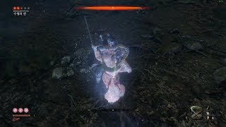 Sekiro  ORin of the Water Enemies Die Twice Mod No Damage [upl. by Llertnor93]