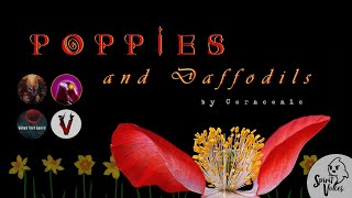 quotPoppies and Daffodilsquot  A Creepypasta Read FT Darksomnium and MORE [upl. by Jesus]