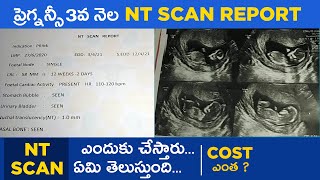 NT Scan లో ఏమి తెలుస్తుంది Cost ఎంత  Pregnancy 3rd Month Scan NT Scan Report [upl. by Minna]