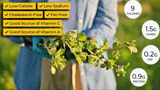 8 Amazing Benefits of Purslane Transform Your Garden amp Health [upl. by Nosyrb]