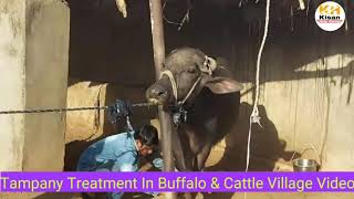 Tampany Treatment In Buffalo At Village [upl. by Trovillion547]