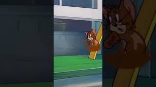 Tom and Jerry cartoon cartoonvideo shorts shortsfeed [upl. by Kcirdahs]