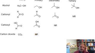 Introduction to Oxidation of Alcohols [upl. by Cathleen394]