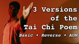 3 Versions of the TAI CHI POEM  Basic Reverse Breathing and AUM  Coach Jans Taiji to the People [upl. by Urata]