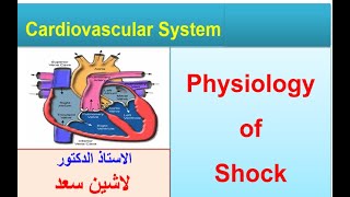 Shock Lashinدلاشين [upl. by Kira]