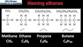 S325 Naming alkanes straightchain and cyclic alkanes [upl. by Nnylodnewg]