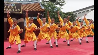 Shaolin Kungfu Masters [upl. by Dafna]