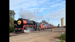 Steam and streamliners on freight and heritage trains 13823 [upl. by Roderigo146]