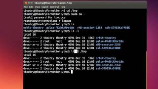 Linux 101 cour 1  commandes de base [upl. by Ocisnarf]