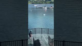 The walkway in Wanaka flooded￼￼ [upl. by Enner]