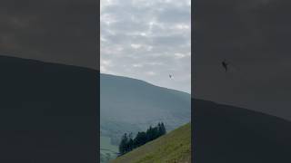 F35 fighter jet through the Mach Loop😎 [upl. by Uol]