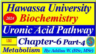 Uronic Acid Pathway carbohydrates metabolism uronicacid pathway biochemistry part4 biology [upl. by Johnette]