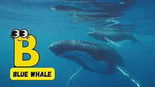 Endangered Ocean Animals A to Z Song for Kids  Ocean Creatures  Phonics amp Conservation  abcd [upl. by Anyt]