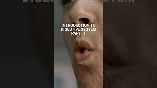 ANATOMY DIGESTIVE SYSTEM PART 1 digestivesystem shorts medicaleducation anatomy [upl. by Nannette826]