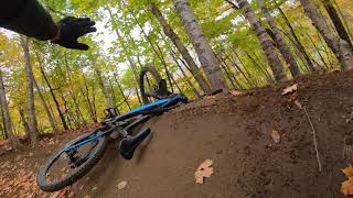 SICK DAY OF FLOW AND JUMPS AT MSS BIKE PARK  HARDCORE HARDTAIL  some crashes [upl. by Forsyth]