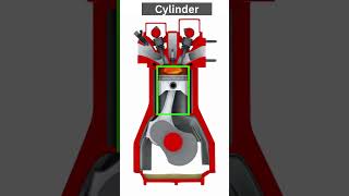 Combustion Chamber amp Cylinder  combustion engine 4strokeengine [upl. by Frayne]