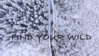 Snow Owl Sled Dog Tours  Find Your Wild  Dogumentary [upl. by Eikram]