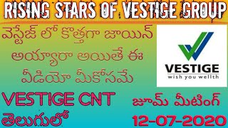 Vestige Full CNT Training Video in Telugu  Company Product amp Marketing Plan  2020 [upl. by Russo]