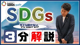 ビジネスパーソンがいまさら聞けない「SDGs」とは？3分解説 [upl. by Middendorf]