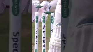 👀 Ball of The Century  Adil Rashid bowls KL Rahul shorts [upl. by Ellevehc]